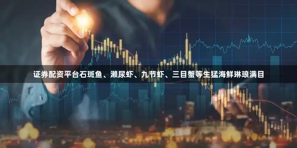 证券配资平台石斑鱼、濑尿虾、九节虾、三目蟹等生猛海鲜琳琅满目
